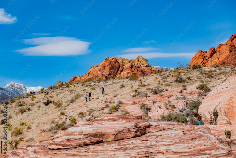 Fototapeta premium Winter snowy landscape of the famous Red Rock Canyon