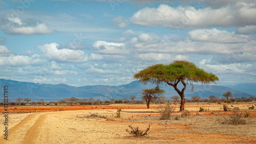 Savanna in Kenya