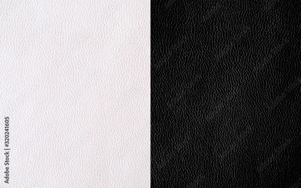 Fototapeta premium Genuine Leather. White and black color. The texture of the skin in two shades.