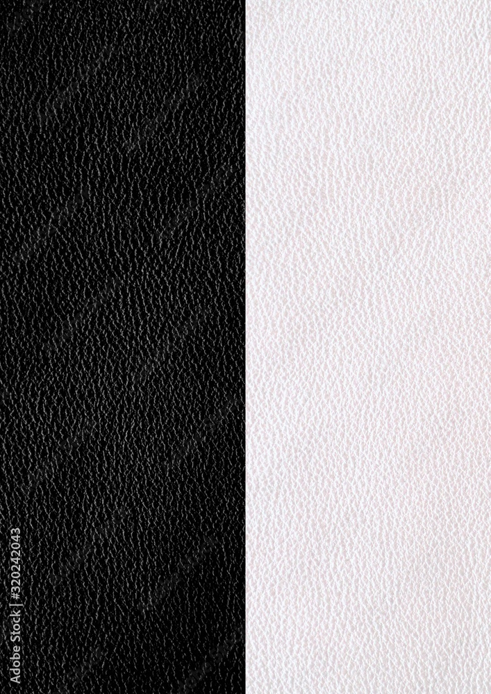 Fototapeta premium Genuine Leather. White and black color. The texture of the skin in two shades.