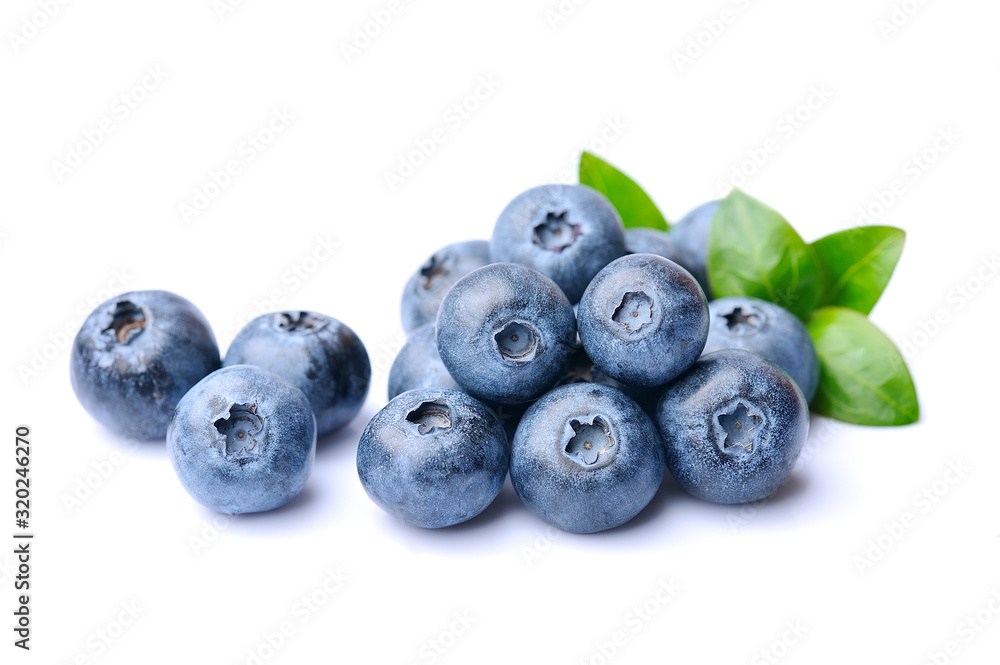 Berries of blueberrie Berries of blueberrie