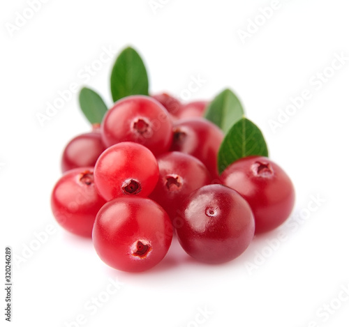 Berries of cranberries closeup.