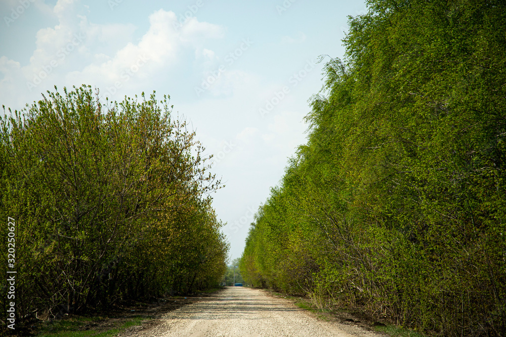 Country road in the Voronezh region, Russia.