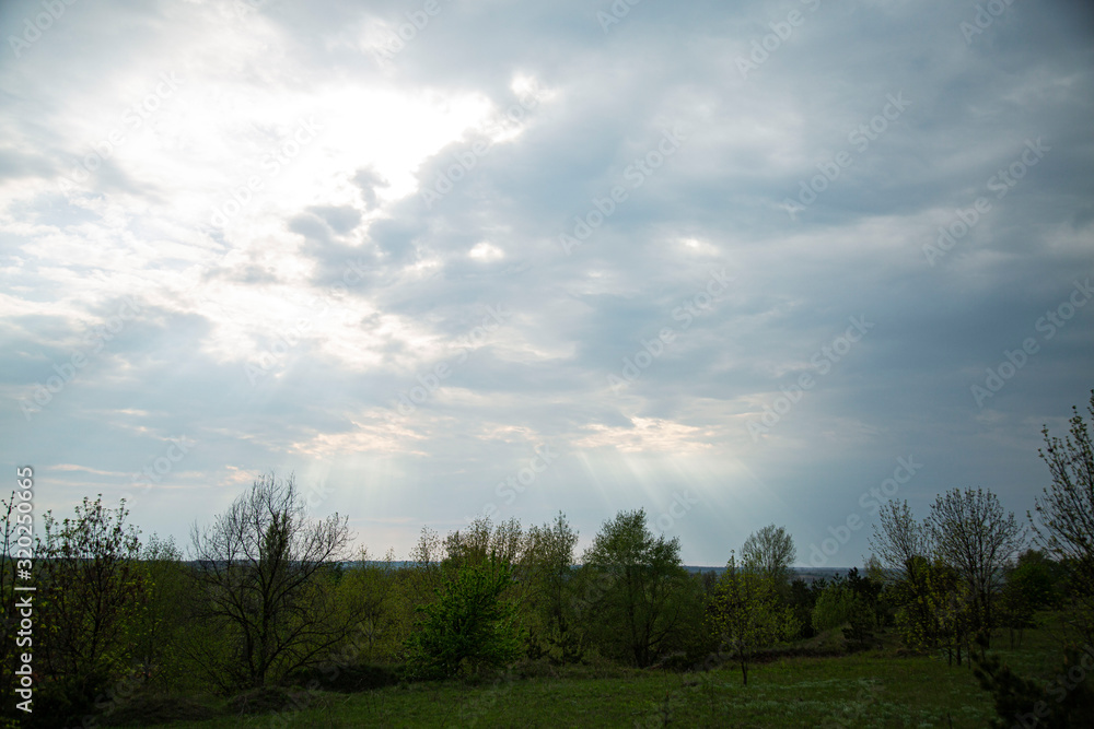 Spring landscape in the middle zone of Russia.