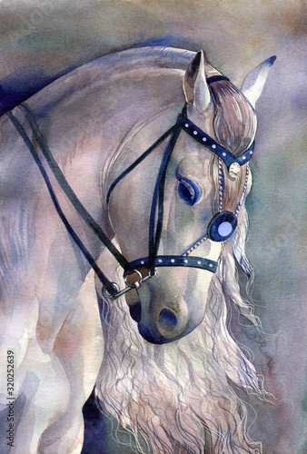 Fototapeta Naklejka Na Ścianę i Meble -  Beautiful watercolor white horse. Watercolor hand drawn white horse.