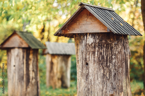 Wooden beehives from logs in autumn in village garden. © Marina Varnava
