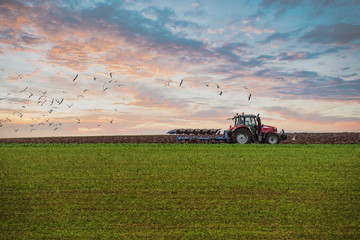 Acrylglasbilder Traktor Landwirt pflügt Felder im Sonnenuntergang  © Image'in