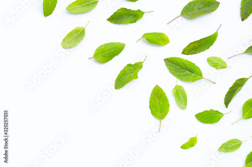Fresh holy basil leaves on white.