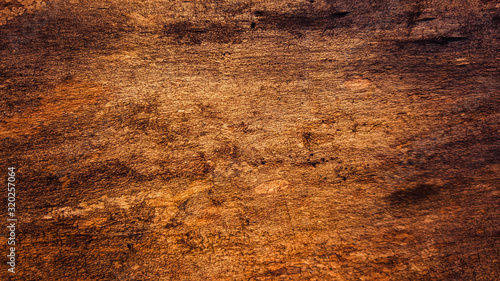 Texture of an old tree under the bark removed