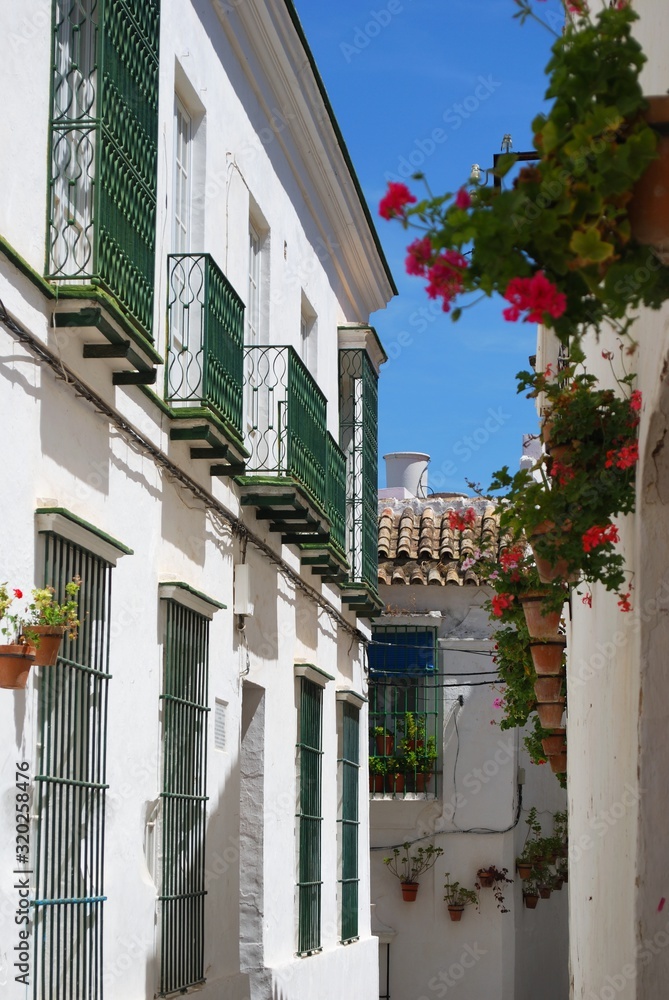 View down old town street with geraniums in pots on walls, Arcos de la Frontera, Spain. View down old town street with geraniums in pots on walls, Arcos de la Frontera, Spain.