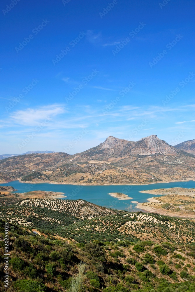 View across olive trees and the reservoir towards the mountains, Zahara de la Sierra, Spain.