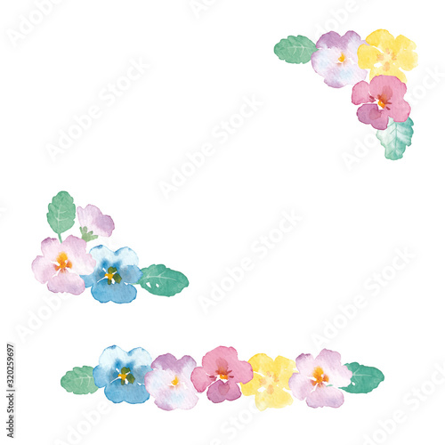 Illustration of viola flower painted by watercolor