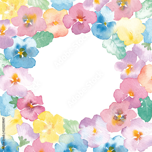 Illustration of viola flower painted by watercolor