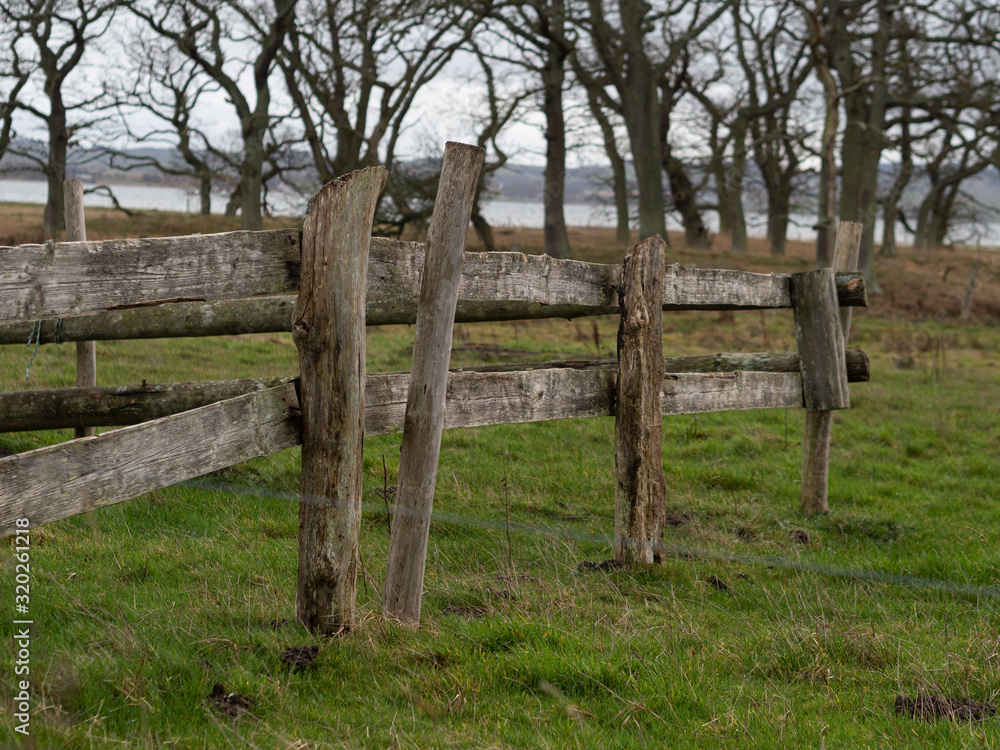 Old worn farm fence