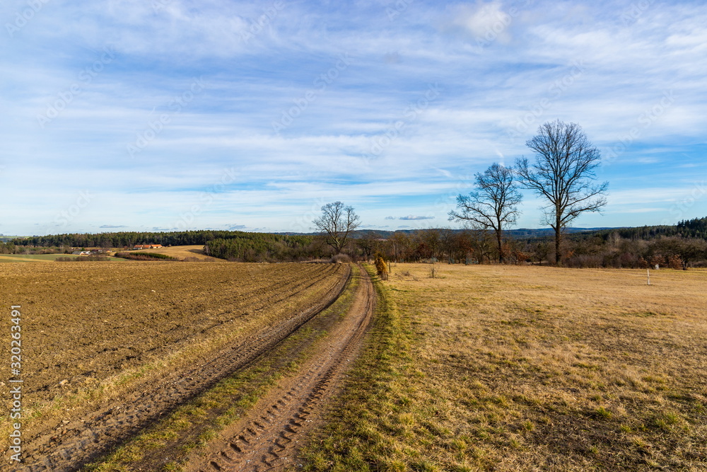 Early spring. Dirt road across meadow. South Bohemia.