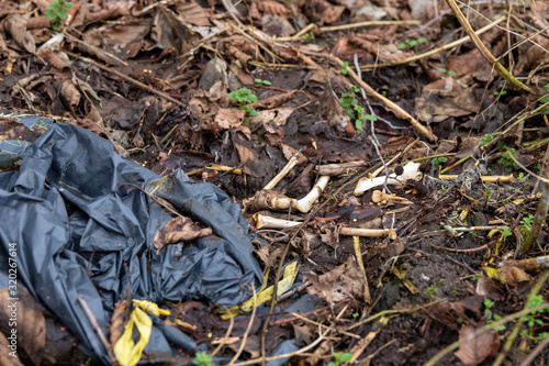 Plastic bag with remains and bleached bones on leaflitter