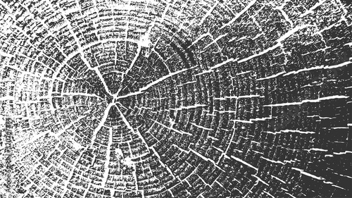 Tree Rings Vector Texture. Wood Log with Cracks