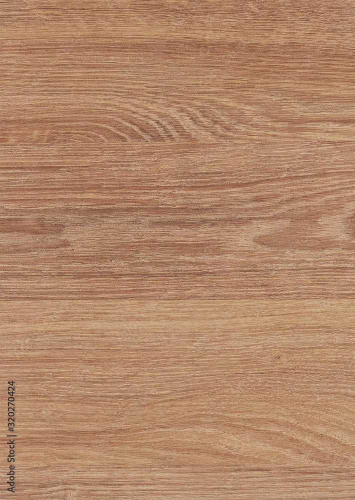 A Regular wood texture. Subtle color wooden background for natural banner. Timber surface closeup. Natural material for banner template. A Regular wood texture. Subtle color wooden background for natural banner. Timber surface closeup. Natural material for banner template.