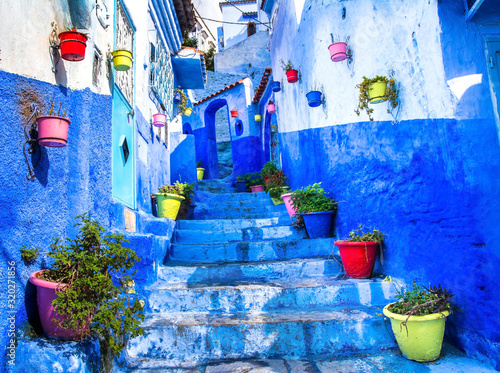 Beautiful blue walls with bright doors and colorful flower pots on the walls on a sunny day, Chefchaouen city medina in Morocco