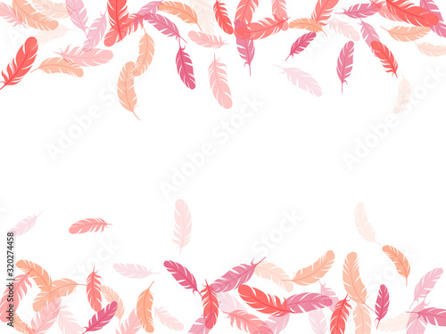 Detailed majestic feather on white design.