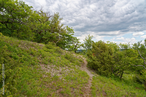 Landschaft im Naturschutzgebiet Mäusberg bei Karlstadt, Landkreis Main-Spessart, Unterfranken, Bayern, Deutschland. photo