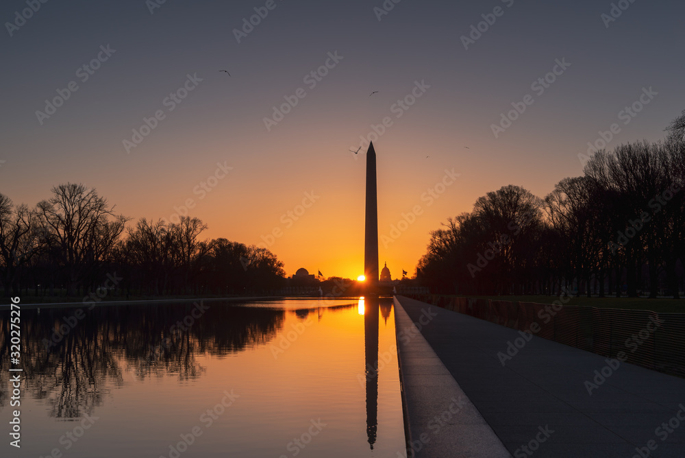 View of Capitol Building and Washington Monument reflecting in the Reflection Pool at sunrise