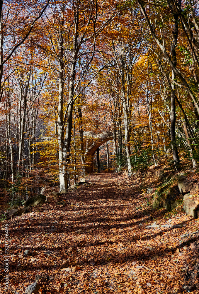 Obraz premium Paisaje otoñal