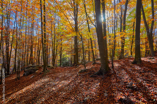 Fotografías de Santa Fe del Montseny