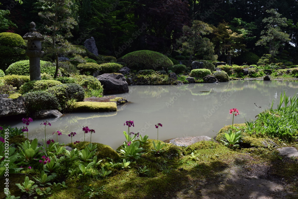 Fototapeta premium 日本庭園