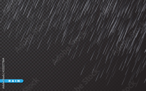 Rain drops on transparent background. Falling water drops. Nature rainfall. Vector illustration