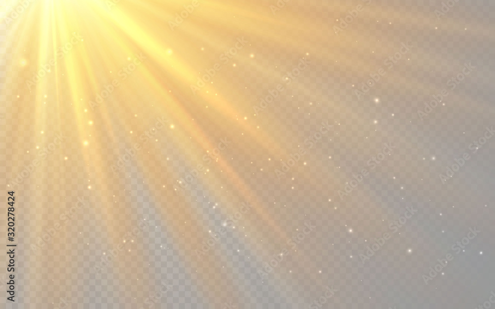 Sunlight special lens flash light effect on transparent background. Effect of blurring light. Vector Illustration Sunlight special lens flash light effect on transparent background. Effect of blurring light. Vector Illustration