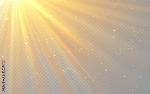 Sunlight special lens flash light effect on transparent background. Effect of blurring light. Vector Illustration