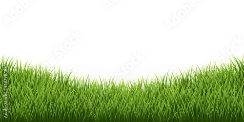 Green grass border set on white background. Vector Illustration