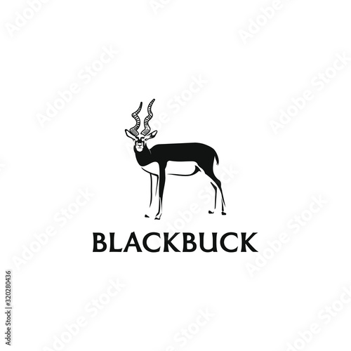 Blackbuck logo design. Antelop india silhoutte.