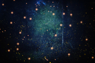 Abstract and magical image of Firefly flying in the night forest. Fairy tale concept