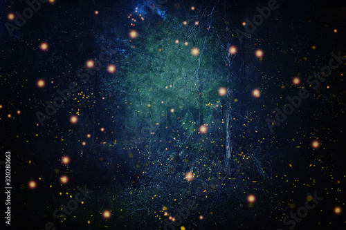 Abstract and magical image of Firefly flying in the night forest. Fairy tale concept photo