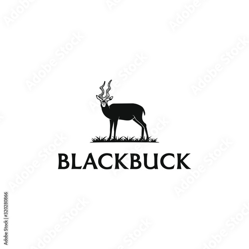 Blackbuck logo design. Antelop india silhoutte.