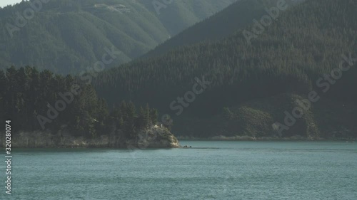 New Zealand views of trees on islands on the between Wellington And Picton Marlborough Sounds 4K UHD cinematic slow motion