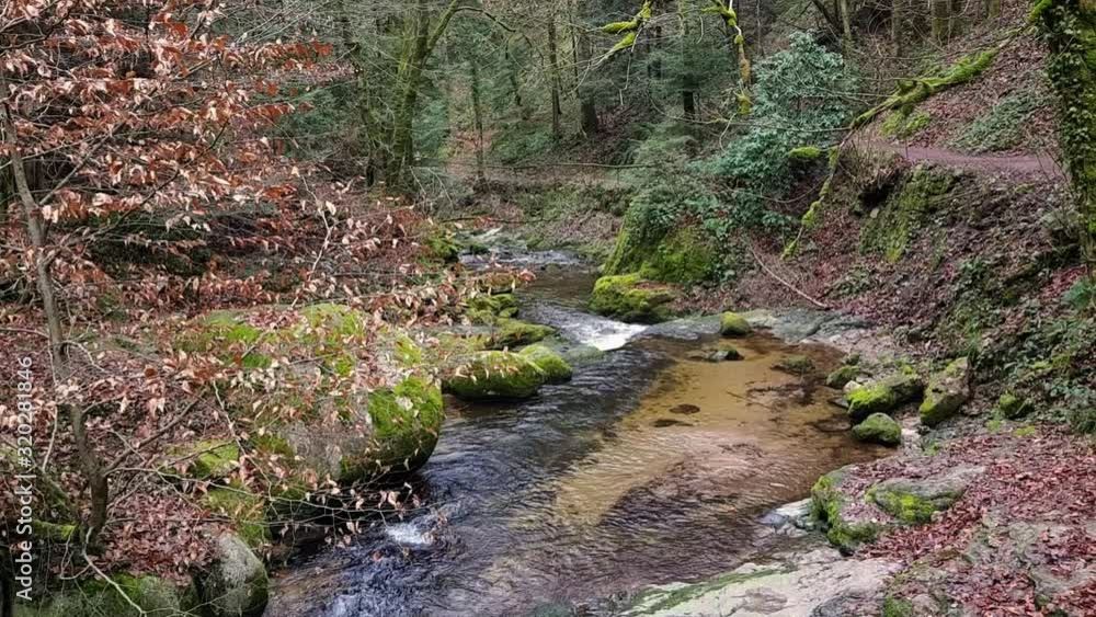 Static view of beautiful calm stream in the forest, Black Forest Germany. Static view of beautiful calm stream in the forest, Black Forest Germany.