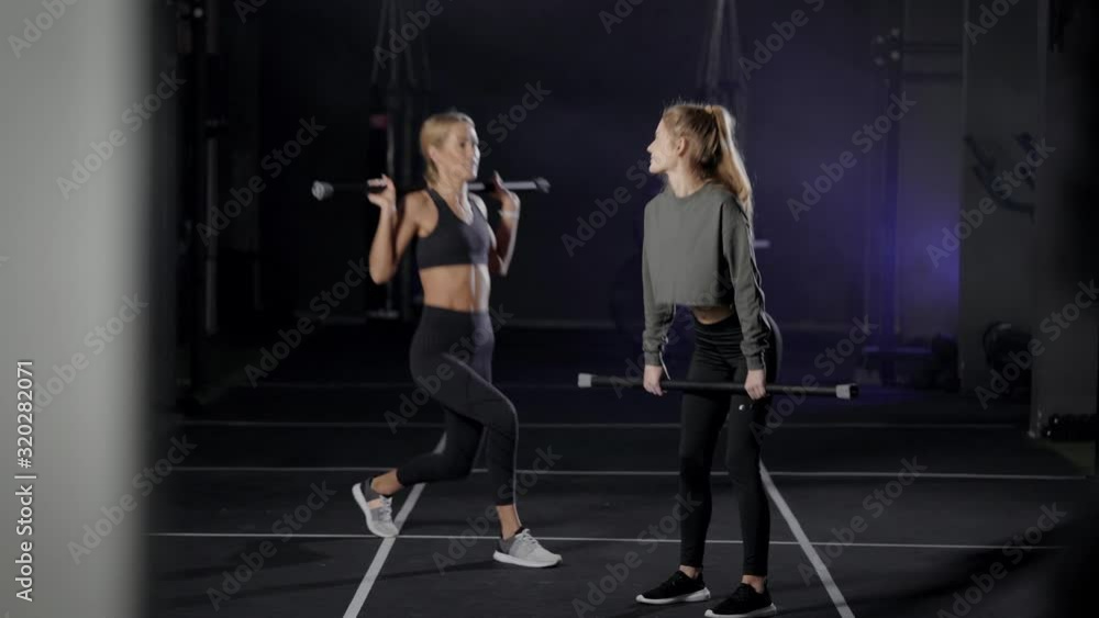 Two beautiful blondes in the gym. Girls perform exercises with light weight. It is important to monitor health and figure. Two beautiful blondes in the gym. Girls perform exercises with light weight. It is important to monitor health and figure.
