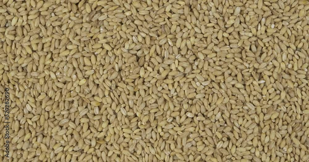 Rotation, background from pearl barley grains. Grocery background. Top view. Copy space. Rotation, background from pearl barley grains. Grocery background. Top view. Copy space.