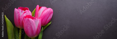 A bouquet of beautiful bright pink tulip close-up against a dark gray stucco wall.