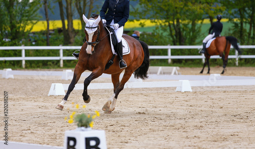 Dressage horse with rider at a gallop tournament, strongly left..
