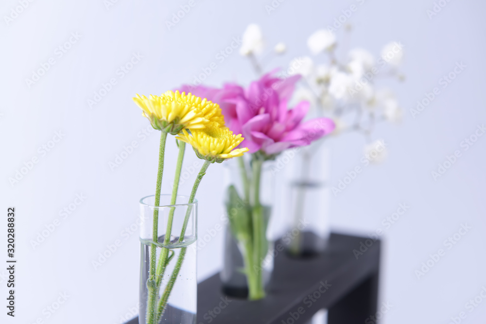 Test tubes with flowers on light background