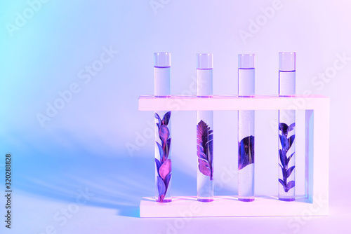 Test tubes with plants on c...