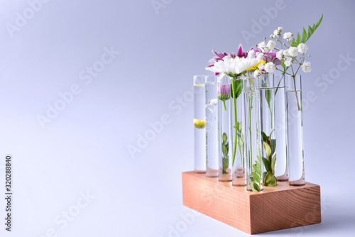 Test tubes with plants on l...