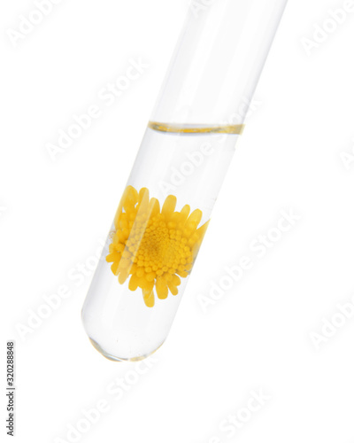 Test tube with flower on wh...