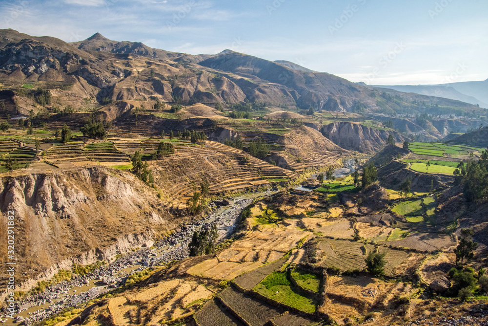 Naklejka premium Canyon de Colca