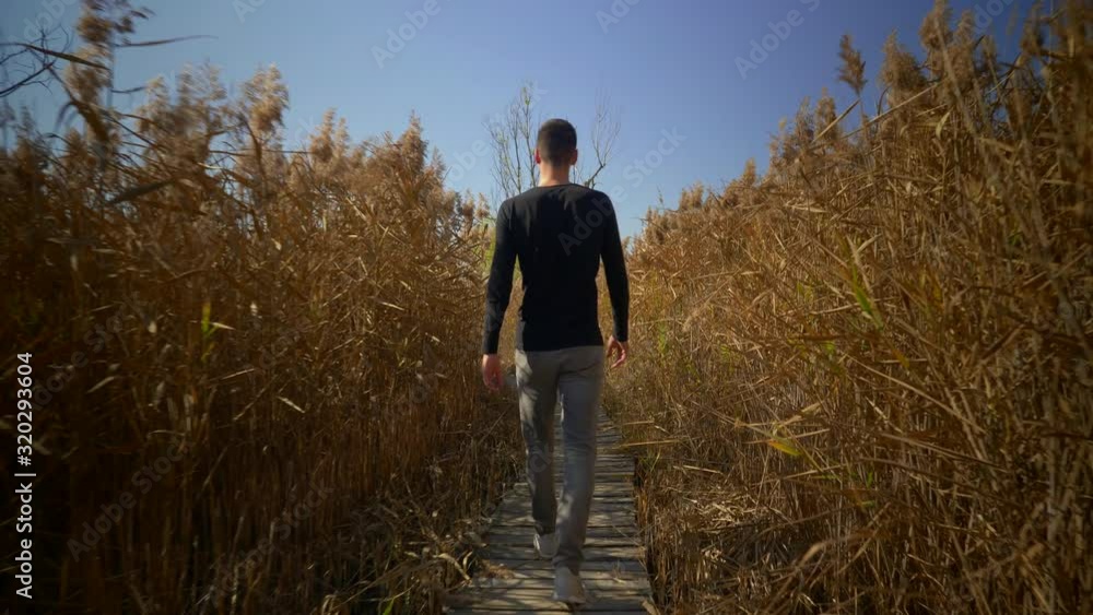 Handsome tall man walking back at camera in high grass, Europe Handsome tall man walking back at camera in high grass, Europe