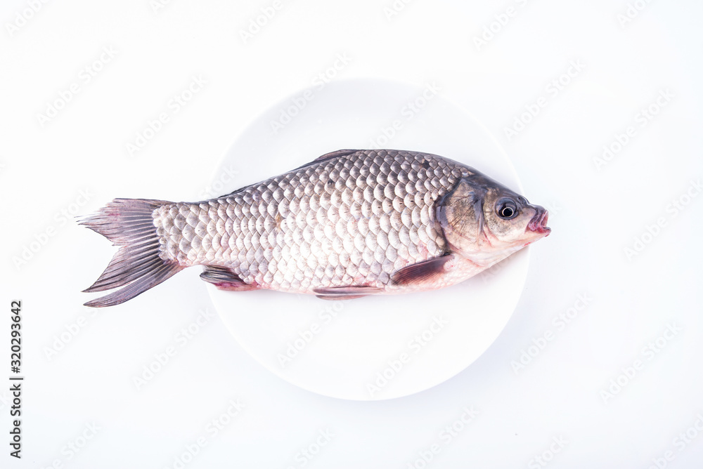 A fresh catfish on a plate against white background A fresh catfish on a plate against white background
